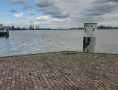 Port in Rotterdam