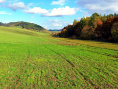 On the meadow