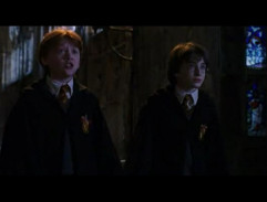 Harry and Ron spot a troll