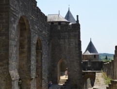 Chase in Carcassonne